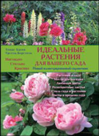 Идеальные растения для вашего сада