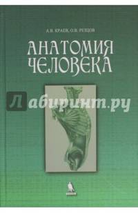 Анатомия человека. Учебное пособие