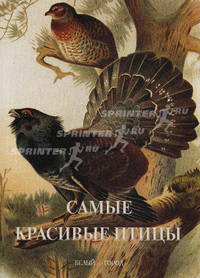 Самые красивые птицы: Иллюстрированная энциклопедия