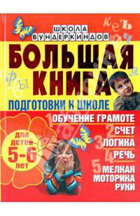 Большая книга подготовки к школе для детей 5-6 лет. Обучение грамоте, счет, логика, речь