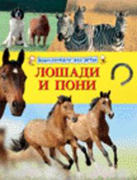 Лошади и пони (Энциклопедия для детей)