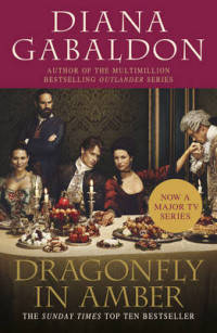 Dragonfly in Amber