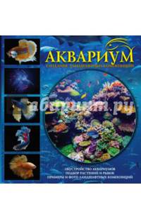 Аквариум. Создание ландшафтных композиций. Примеры и рекомендации