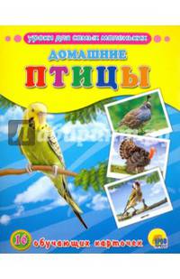 Домашние птицы. Обучающие карточки.