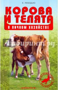 Корова и телята в личном хозяйстве. Выбор породы. Содержание. Разведение. профилактика заболеваний
