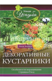 Декоративные кустарники