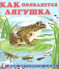 Как появляется лягушка