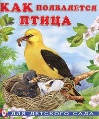 Как появляется птица