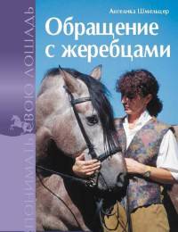Обращение с жеребцами