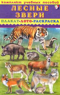 Комплект учебных пособий. Лесные звери. Плакат. Лото. Раскраска