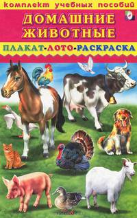 инт.Фл.Kомплект учеб.пособий.Домашние животные.Плакат,лото,раскраска