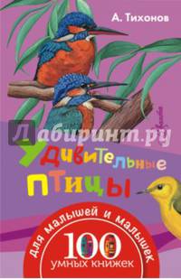 Удивительные птицы