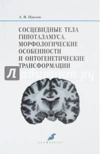 Сосцевидные тела гипоталамуса. Морфологические особенности и онтогенетические трансформации