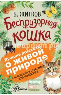 Беспризорная кошка. С вопросами и ответами для почемучек
