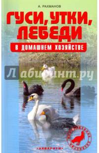 Гуси, утки, лебеди в домашнем хозяйстве. Содержание и разведение