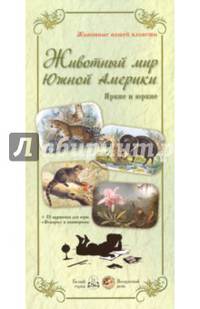 Животный мир Южной Америки. Яркие и юркие + 72 карточки для игры "Мемори" и викторины