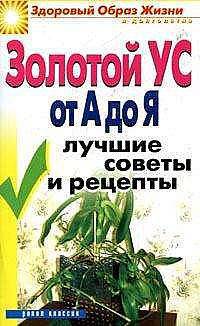 Золотой ус от А до Я: Лучшие советы и рецепты