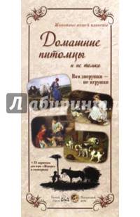 Животные нашей планеты. Домашние питомцы. Вам