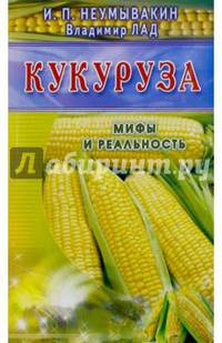 Кукуруза (син). Мифы и реальность