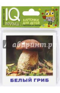 Умный малыш. Грибное лукошко. Набор карточек