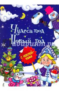 Новогодняя брошюра. чудеса под новый год