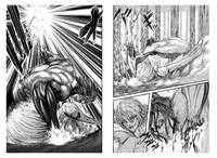 Атака на Титанов. Книга 4