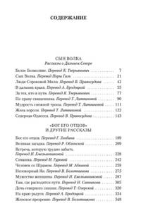 Сын Волка
