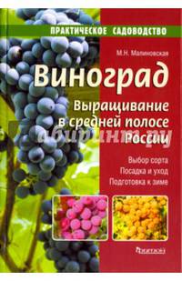 Виноград.Выращивание в средней полосе России.Выбор сорта.Посадка и уход.Подготов