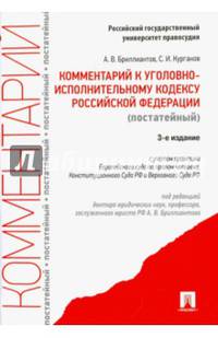 Комментарий к Уголовному исполнительному кодексу Российской Федерации (постатейный)