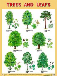 Плакаты (англ). Trees and Leafs (Деревья и листья)
