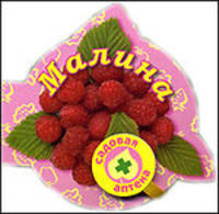 Малина. Книга на магните