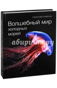 Волшебный мир холодных морей