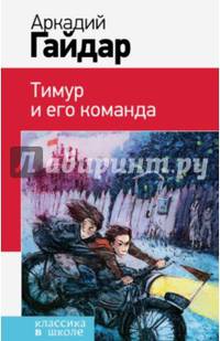 Тимур и его команда