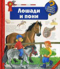 Лошади и пони