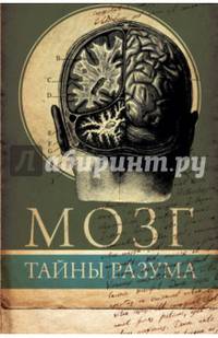 Мозг. Тайны разума