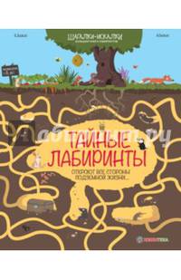 Тайные лабиринты. Большая книга лабиринтов
