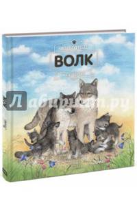Животные в природе. Волк