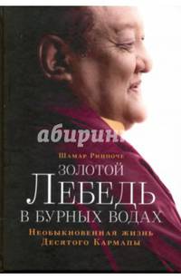 Золотой лебедь в бурных водах. Необыкновенная жизнь Десятого Кармапы