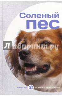 Соленый пес