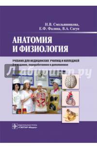 Анатомия и физиология