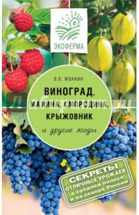 Виноград, малина, смородина, крыжовниик и другие ягоды