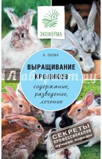 Выращивание кроликов. Как содержать, разводить, лечить - советы профессионалов. Лучшие породы