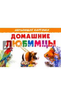 Карточки. Домашние любимцы.