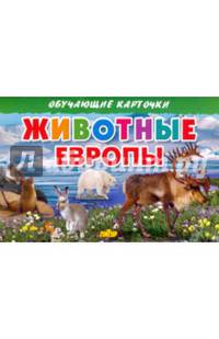 Карточки. Животные Европы.