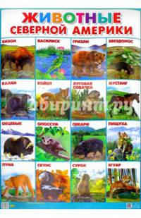 Плакат "Животные Северной Америки" (550х770)