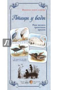 Птицы у воды. Реки касаясь трепетным крылом