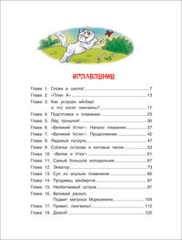 Путешествие на айсберге: сказочная повесть