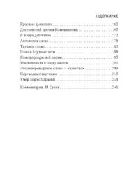 Блеск и нищета русской литературы