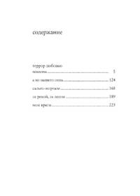 Террор любовью (мягк/обл.)