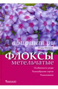 Флоксы метельчатые. Особенности ухода. Разнообразие сортов. Размножение